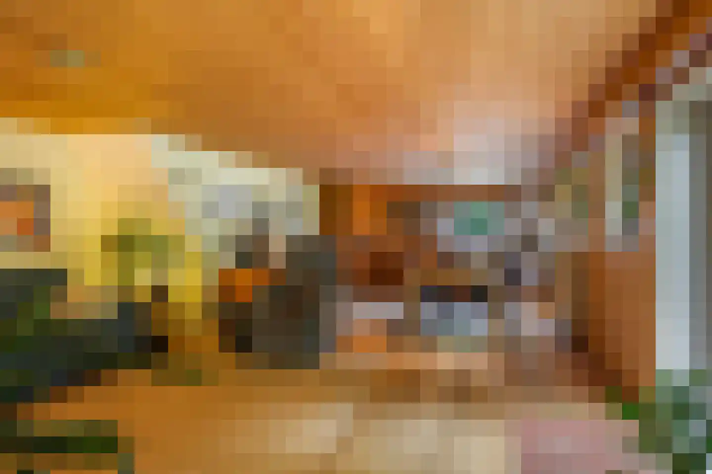 Waalbandijk 46 Dodewaard thumbnail 19
