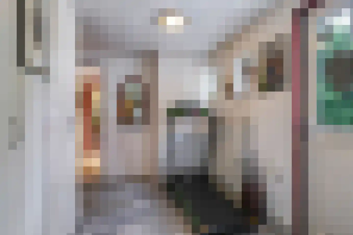 Waalbandijk 46 Dodewaard thumbnail 21