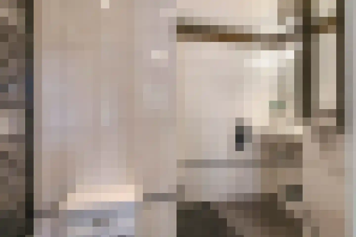 Waalbandijk 46 Dodewaard thumbnail 22