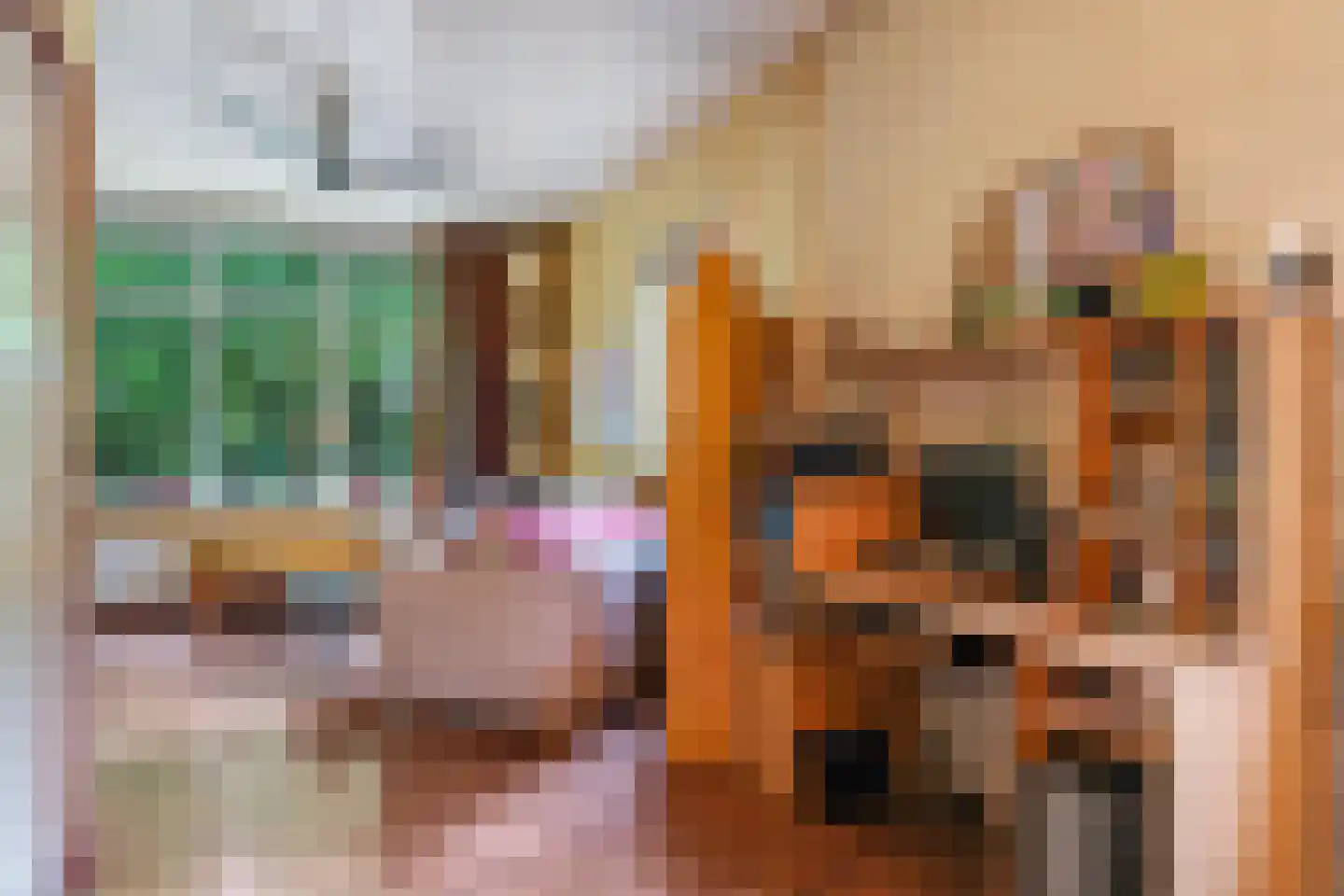 Waalbandijk 46 Dodewaard thumbnail 30