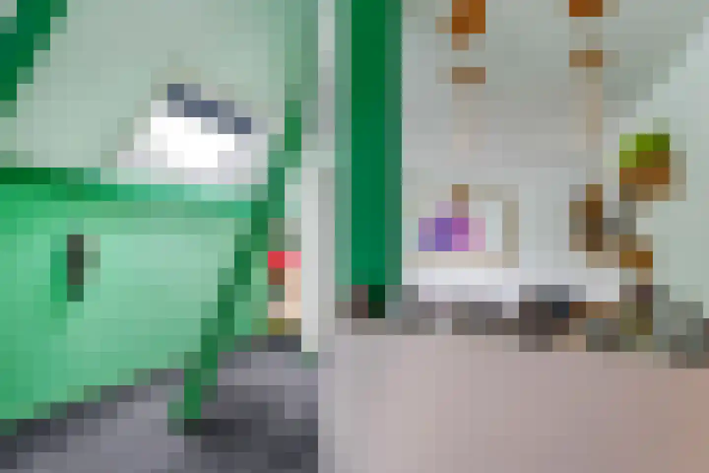 Waalbandijk 46 Dodewaard thumbnail 39