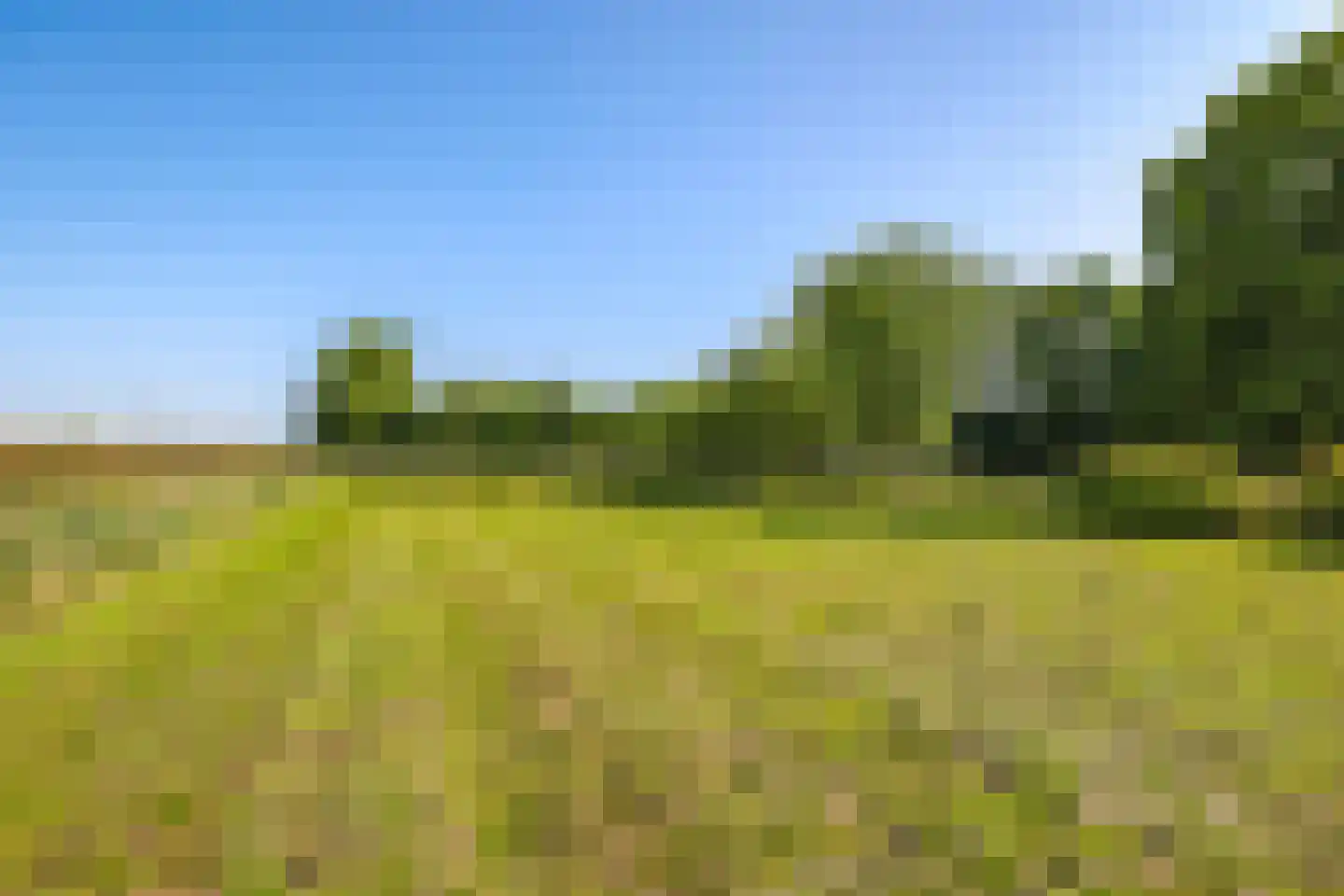 Waalbandijk 46 Dodewaard thumbnail 4