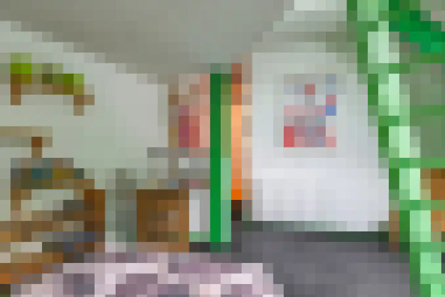 Waalbandijk 46 Dodewaard thumbnail 41