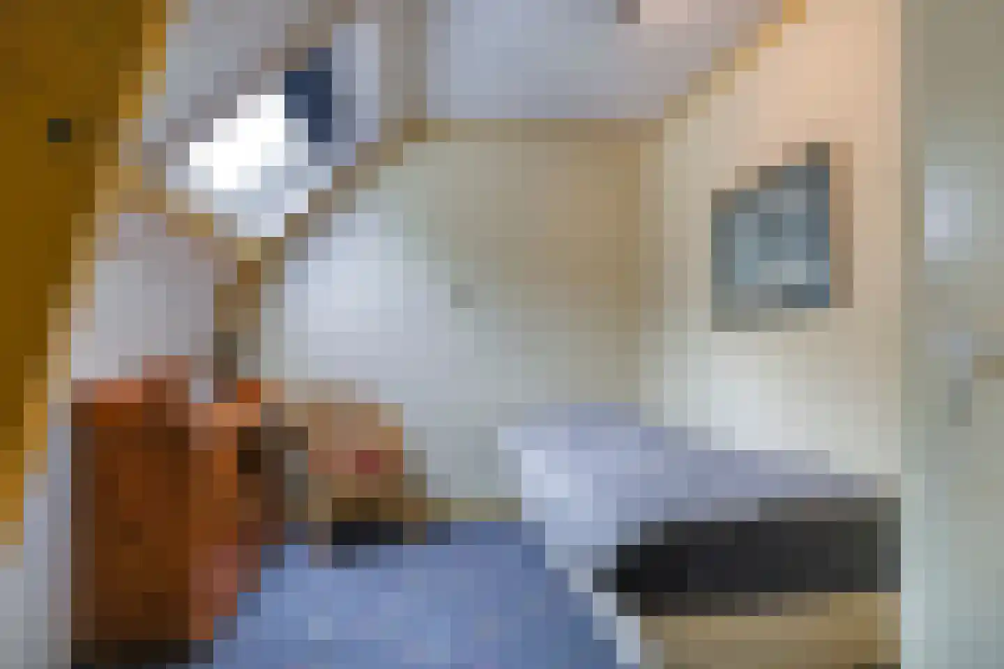 Waalbandijk 46 Dodewaard thumbnail 43