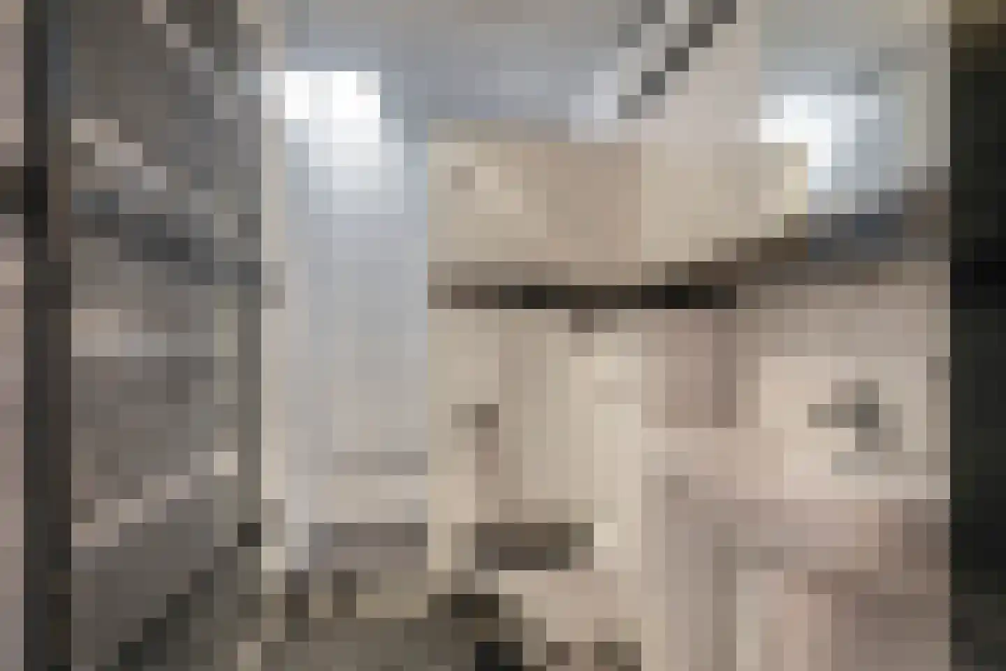 Waalbandijk 46 Dodewaard thumbnail 46