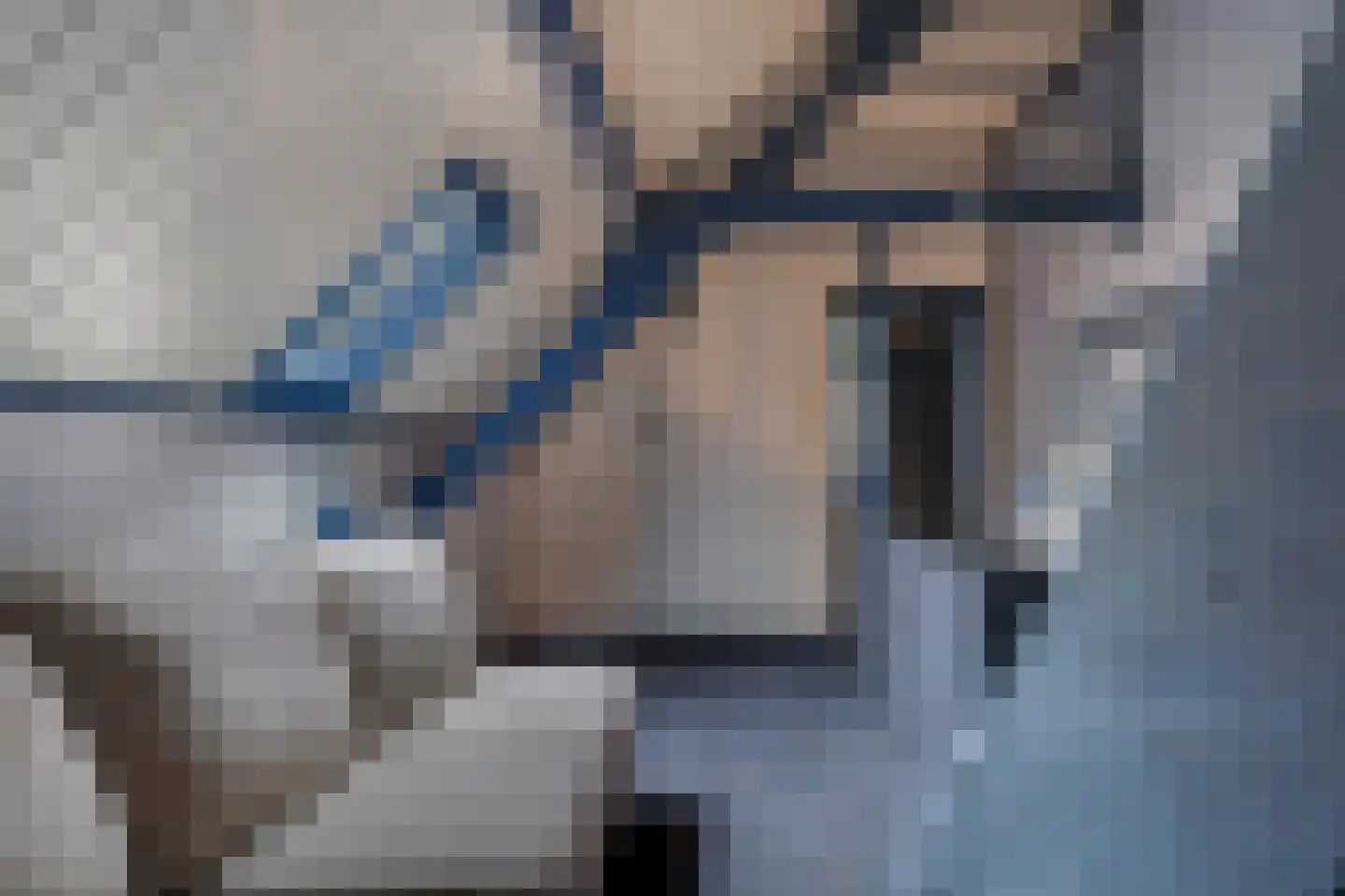 Waalbandijk 46 Dodewaard thumbnail 50