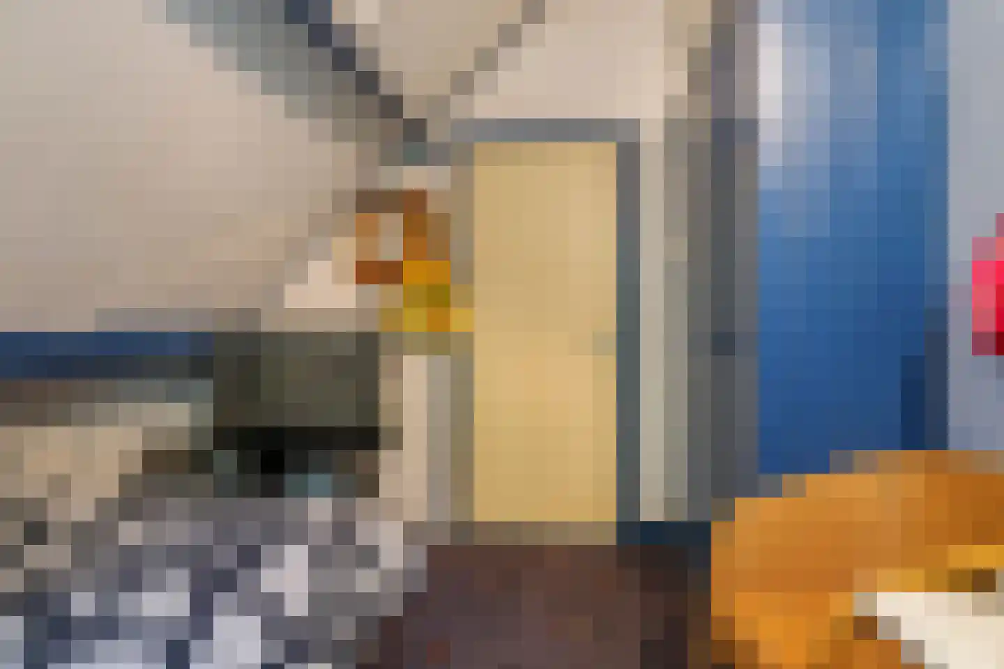 Waalbandijk 46 Dodewaard thumbnail 53
