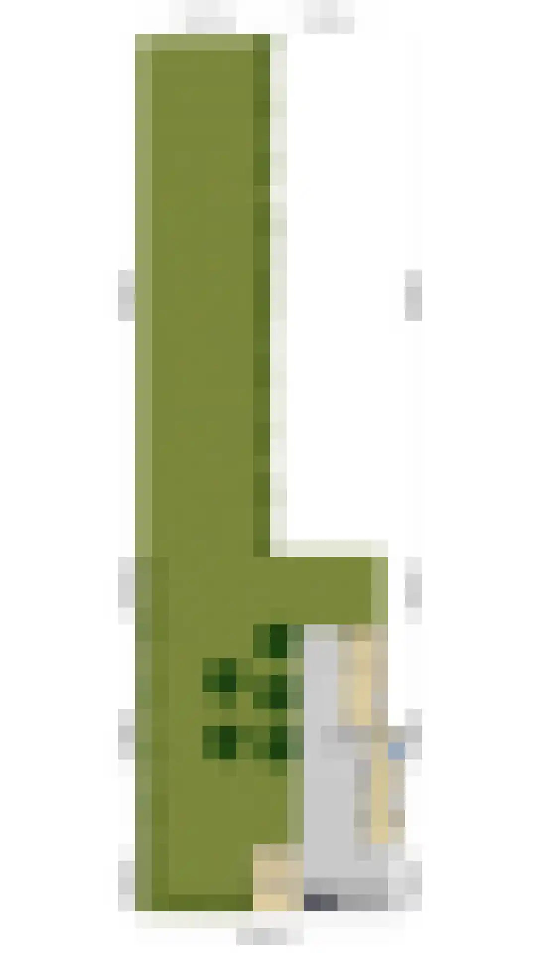 Waalbandijk 46 Dodewaard thumbnail 55
