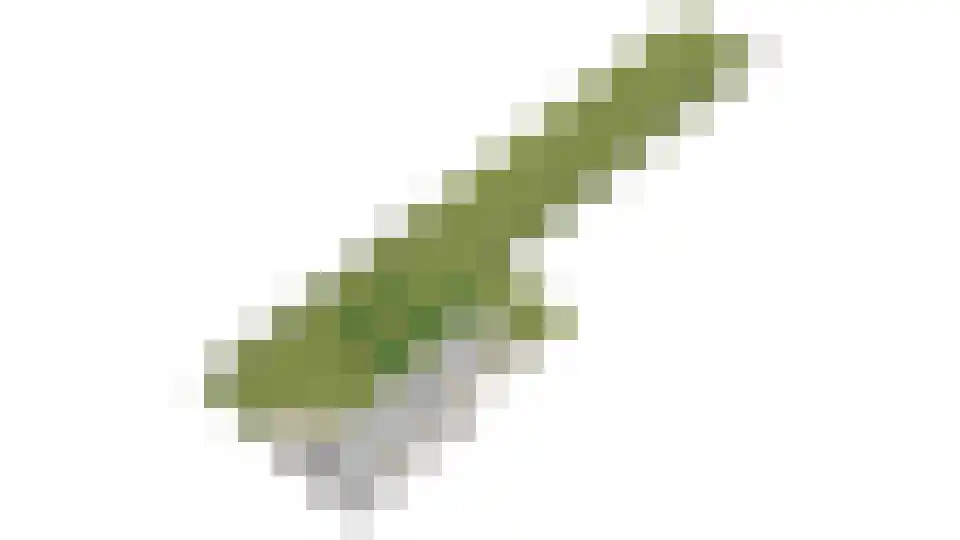 Waalbandijk 46 Dodewaard thumbnail 56