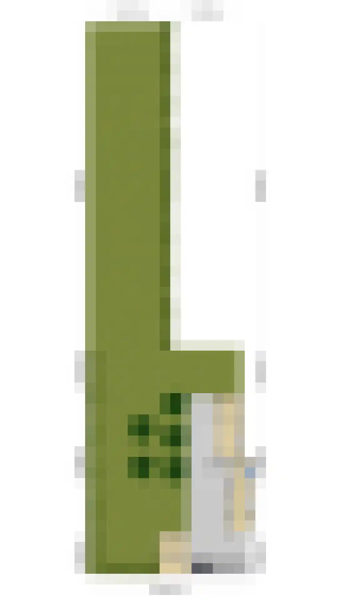Waalbandijk 46 Dodewaard thumbnail 6