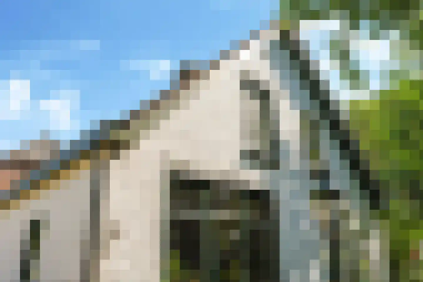 Waalbandijk 46 Dodewaard thumbnail 60