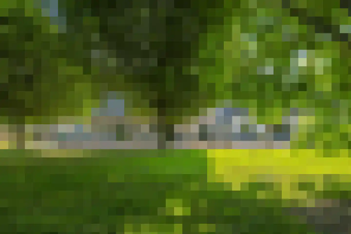 Waalbandijk 46 Dodewaard thumbnail 65