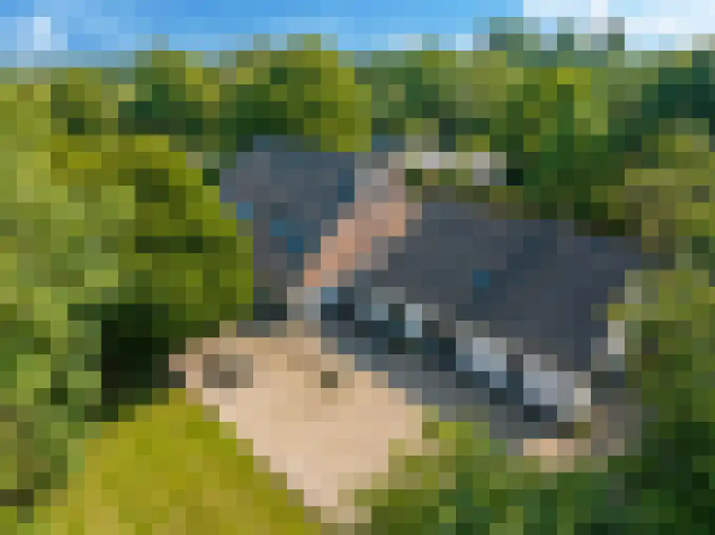 Waalbandijk 46 Dodewaard thumbnail 7
