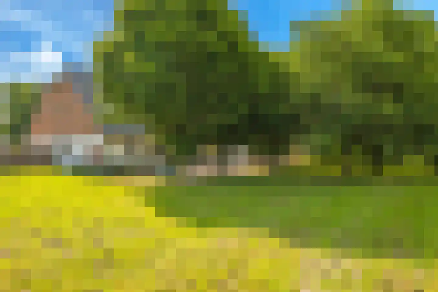 Waalbandijk 46 Dodewaard thumbnail 78