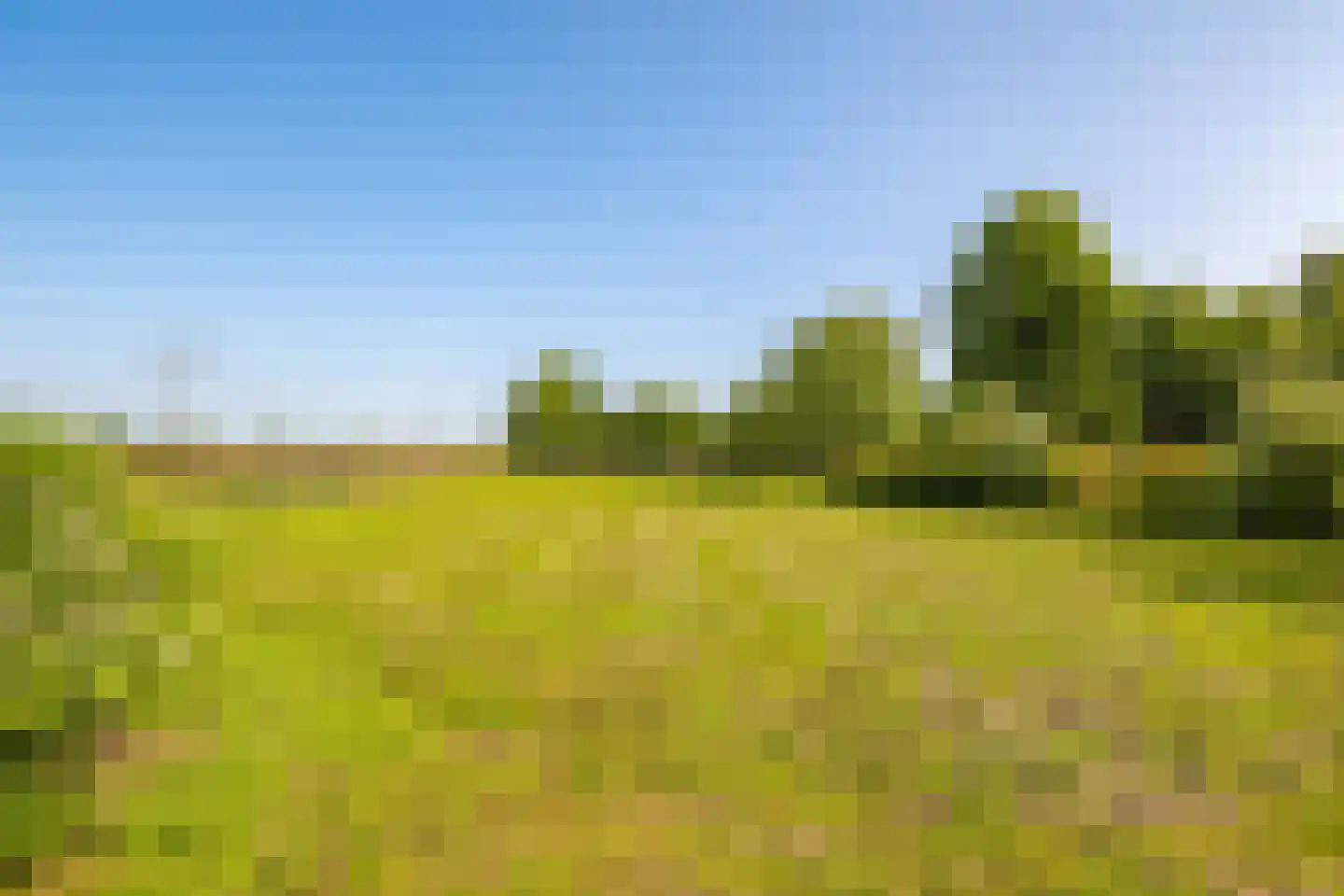 Waalbandijk 46 Dodewaard thumbnail 80
