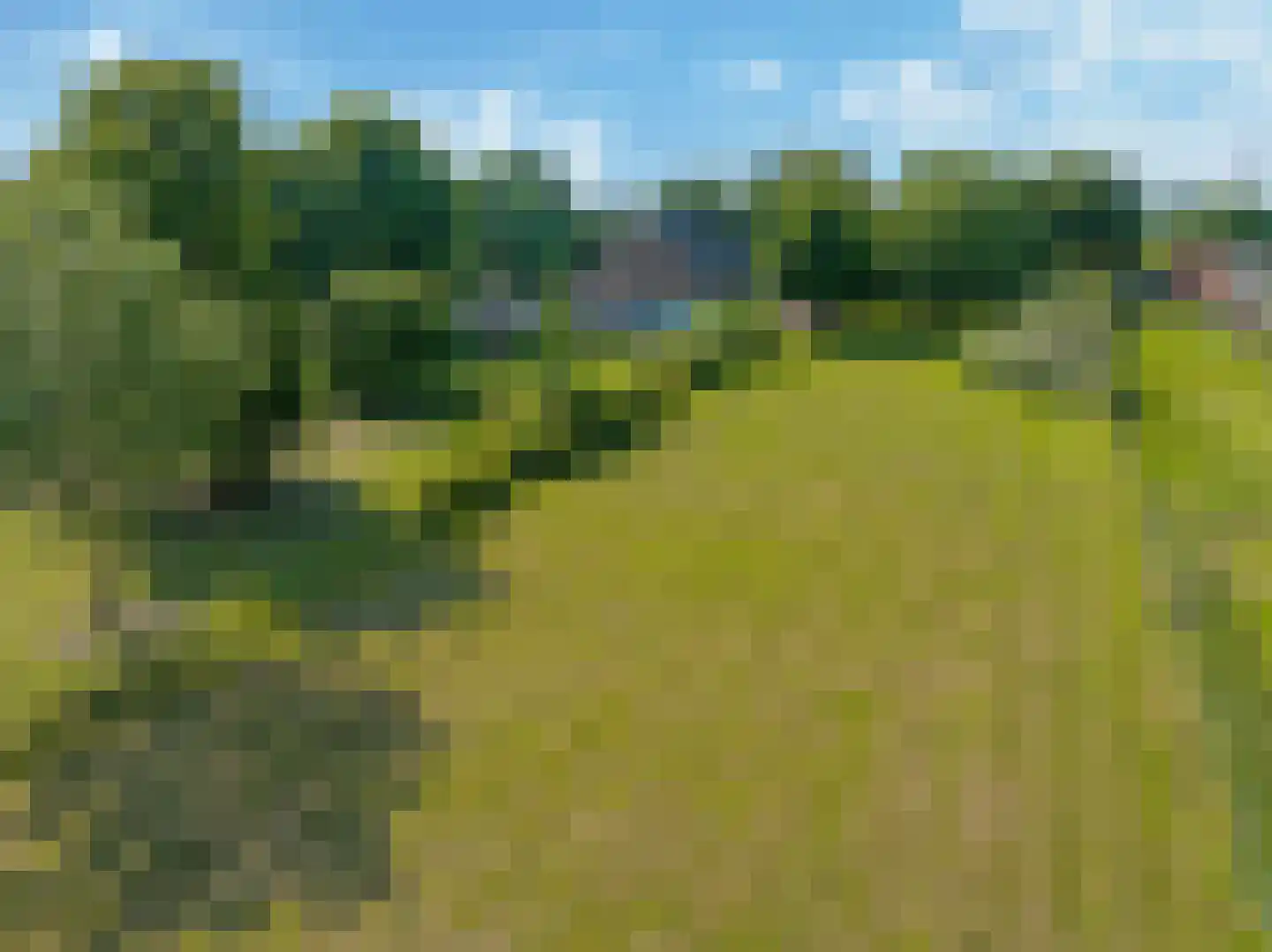 Waalbandijk 46 Dodewaard thumbnail 87