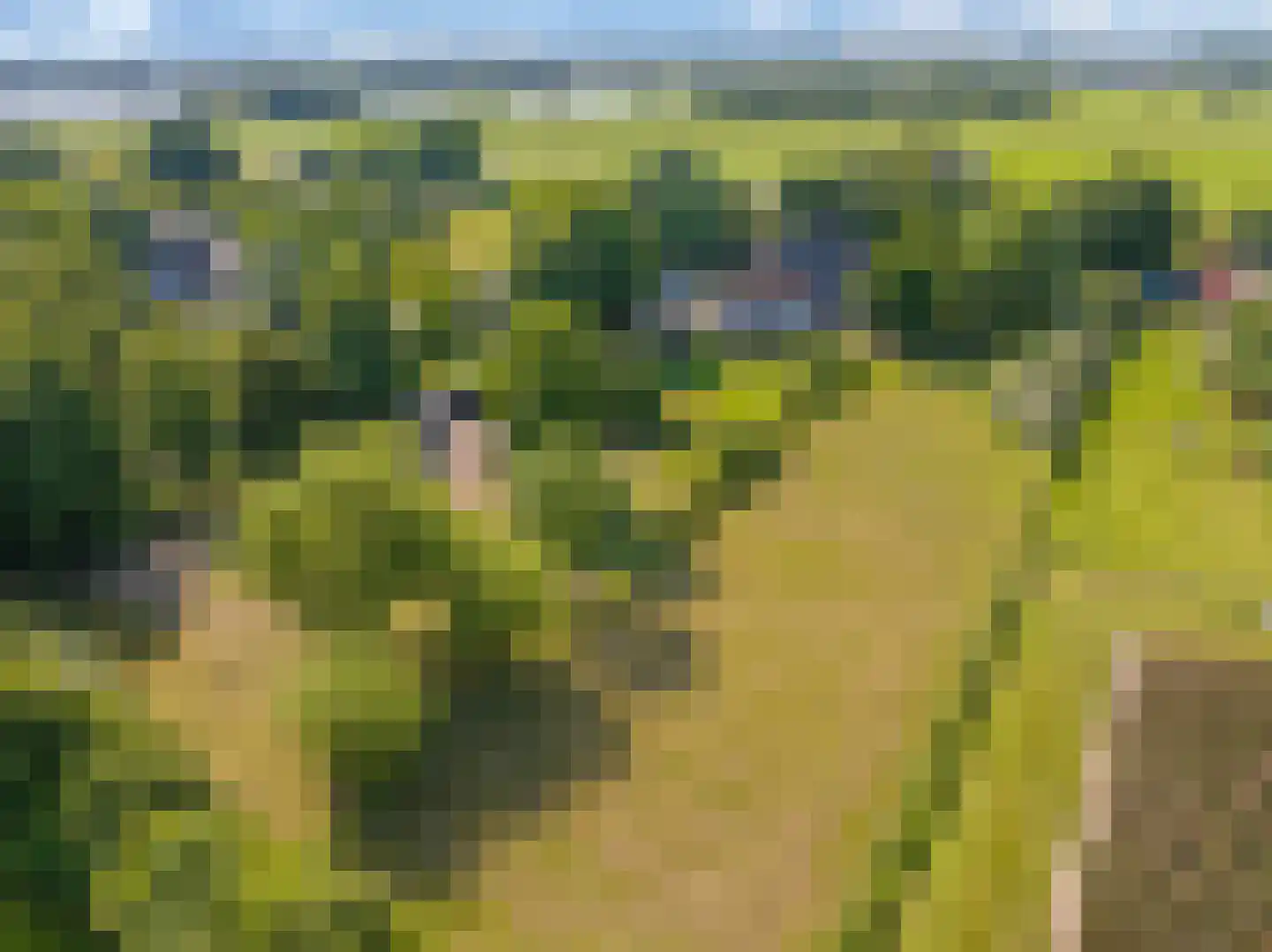 Waalbandijk 46 Dodewaard thumbnail 88