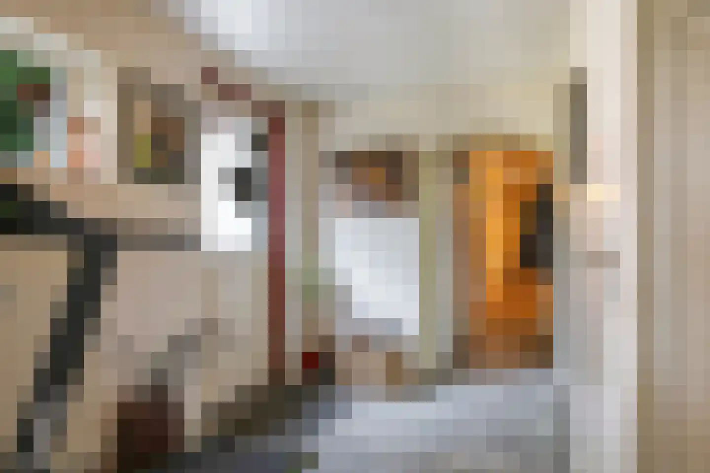 Waalbandijk 46 Dodewaard thumbnail 9