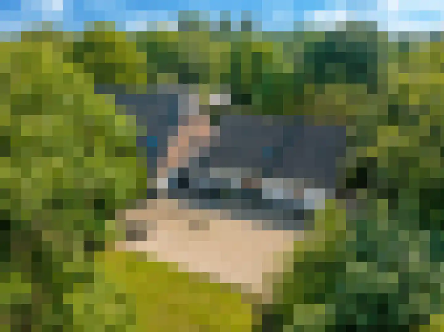 Waalbandijk 46 Dodewaard thumbnail 90