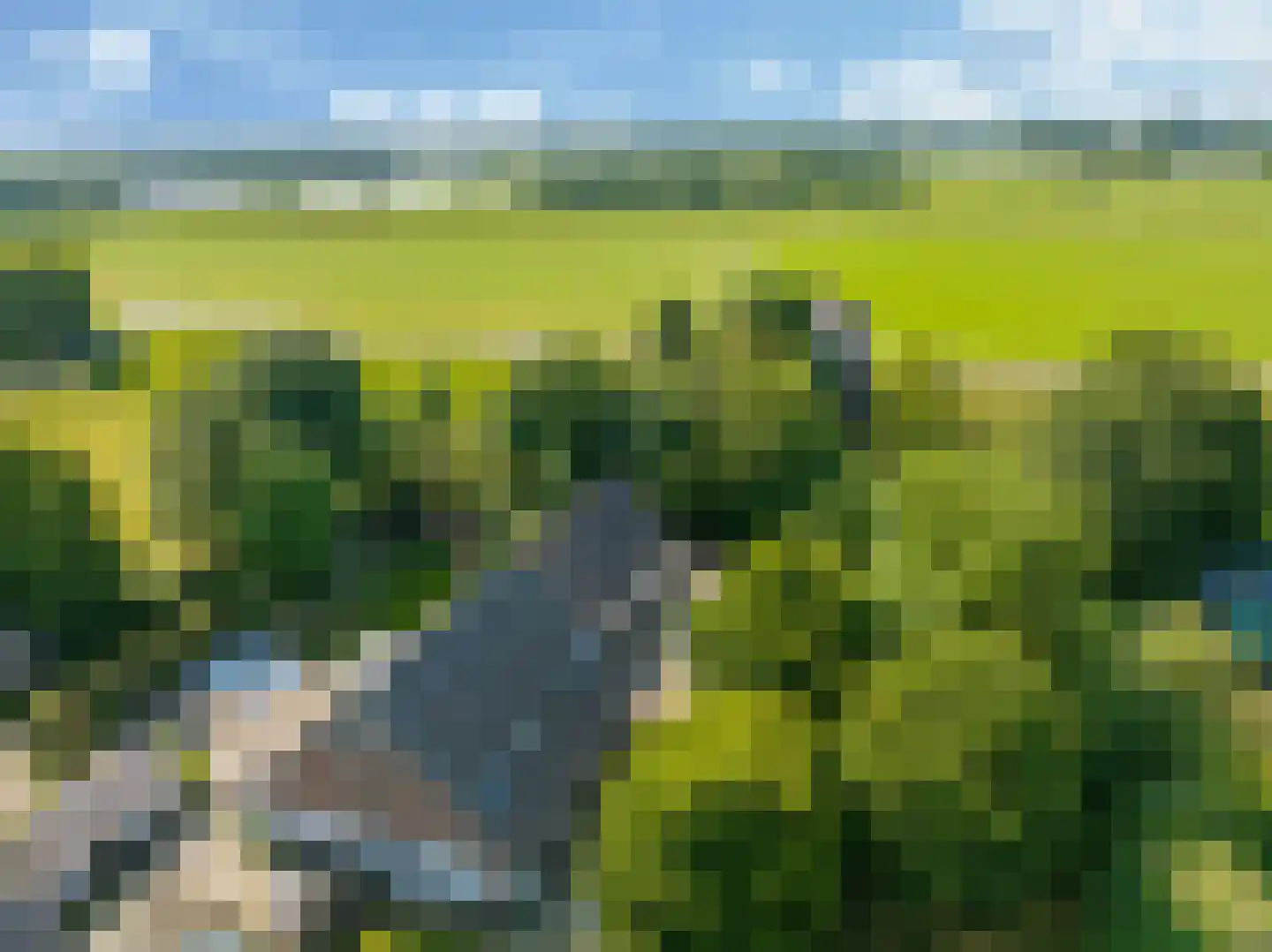 Waalbandijk 46 Dodewaard thumbnail 92