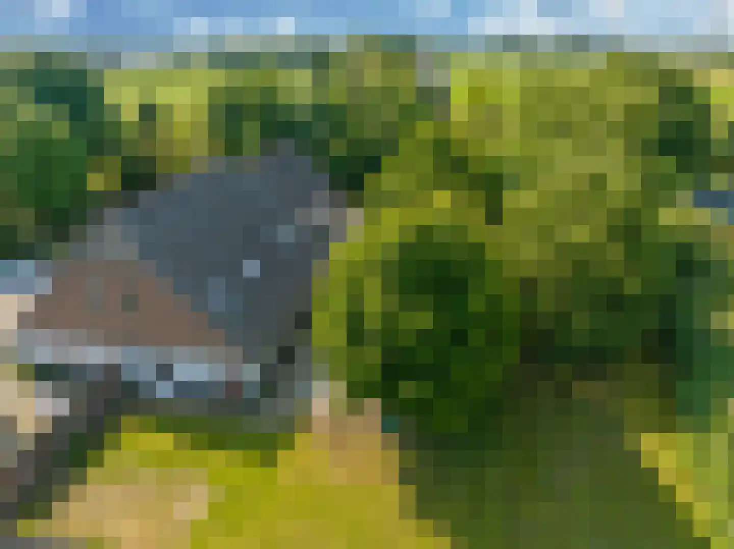 Waalbandijk 46 Dodewaard thumbnail 94