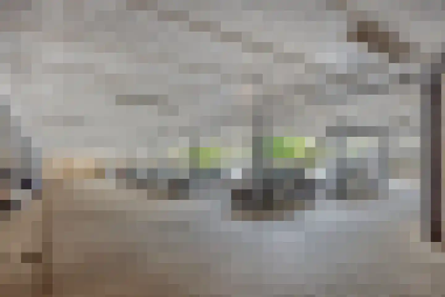 Waalbandijk 479 Nijmegen thumbnail 24