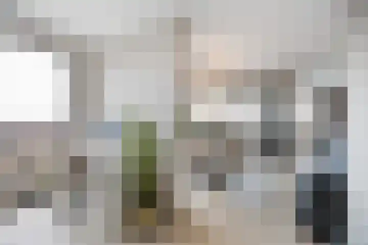 Waalbandijk 501 Nijmegen thumbnail 10