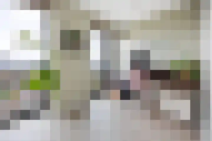 Waalbandijk 501 Nijmegen thumbnail 32
