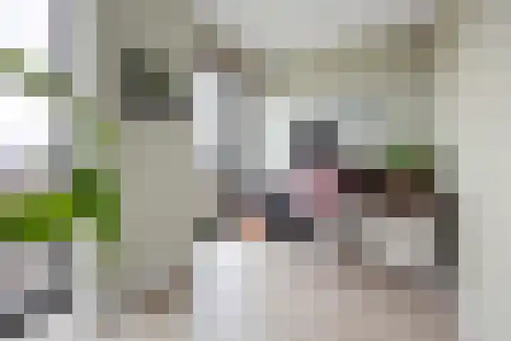 Waalbandijk 501 Nijmegen thumbnail 33