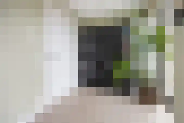 Waalbandijk 501 Nijmegen thumbnail 34