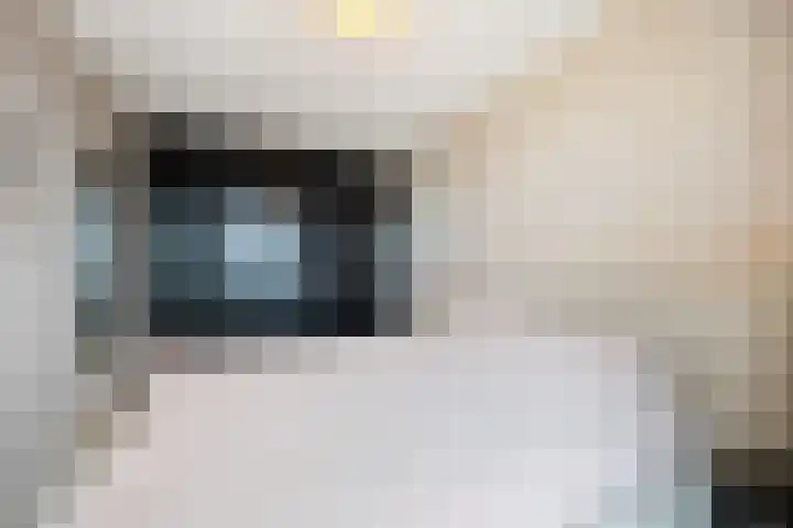 Waalbandijk 501 Nijmegen thumbnail 37