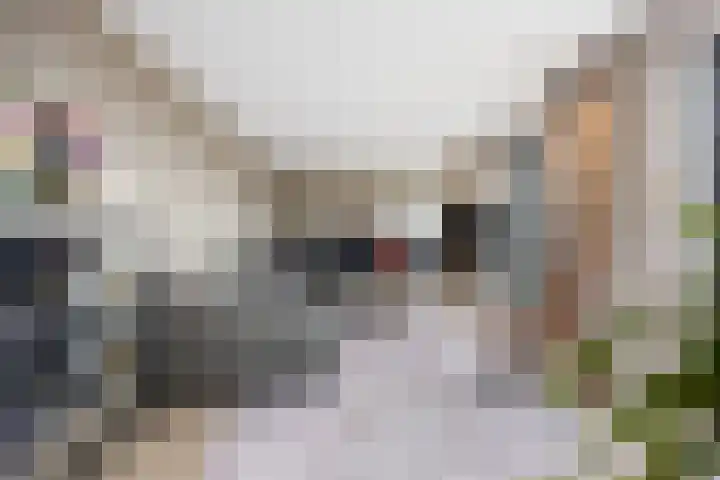 Waalbandijk 501 Nijmegen thumbnail 5