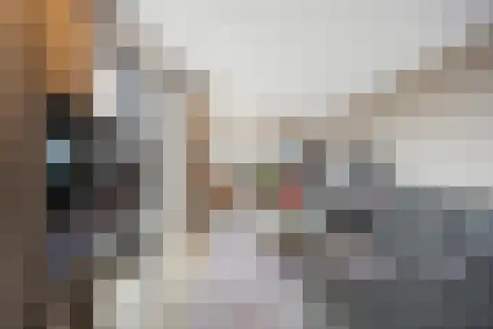 Waalbandijk 501 Nijmegen thumbnail 7