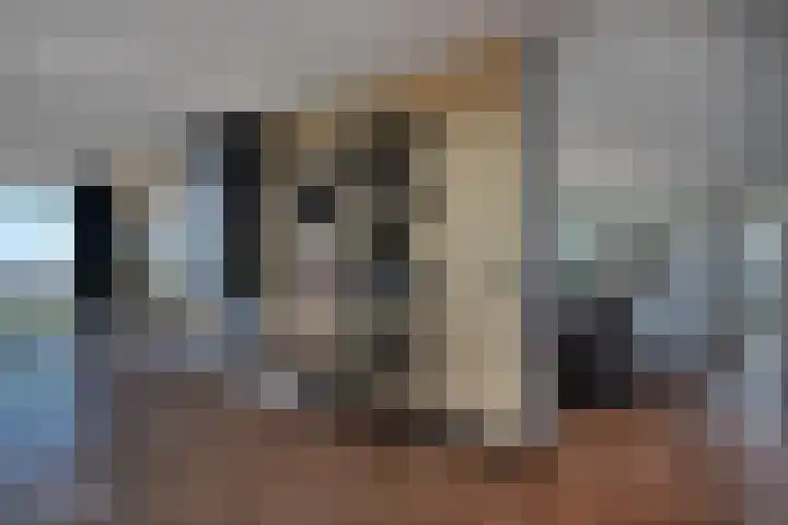 Waalbandijk 529 Nijmegen thumbnail 17
