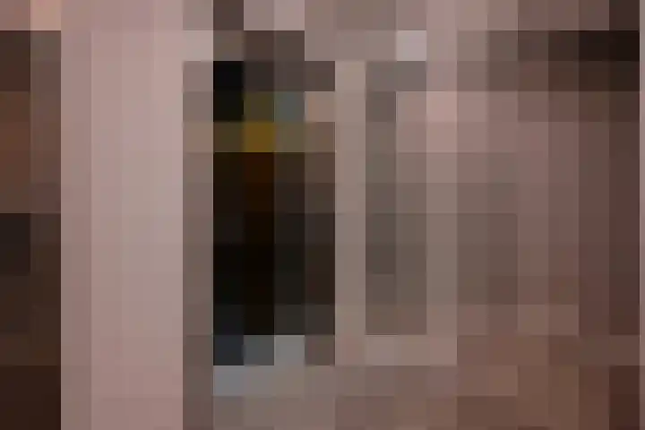 Waalbandijk 529 Nijmegen thumbnail 6