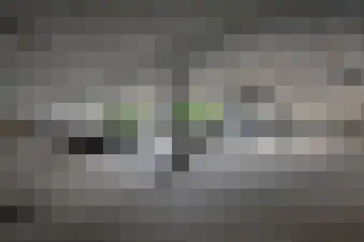 Waalbandijk 529 Nijmegen thumbnail 61