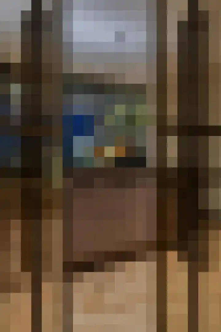 Waalbandijk 529 Nijmegen thumbnail 7