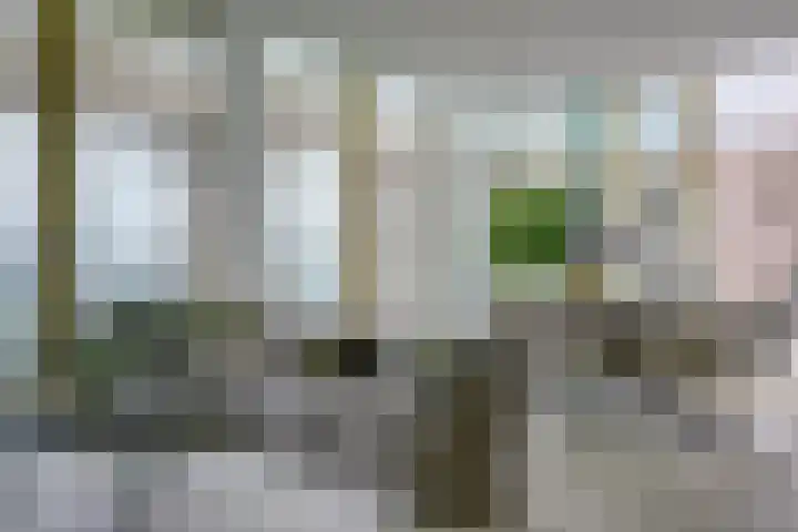 Waalbandijk 531 Nijmegen thumbnail 14