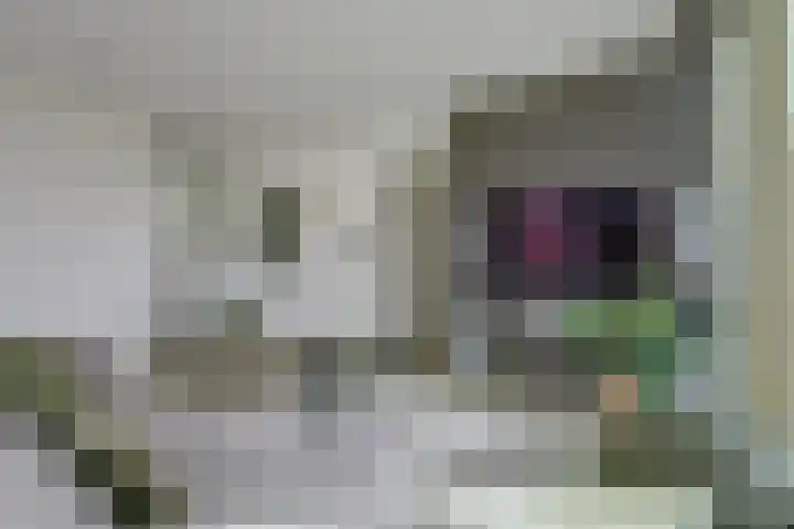 Waalbandijk 531 Nijmegen thumbnail 17