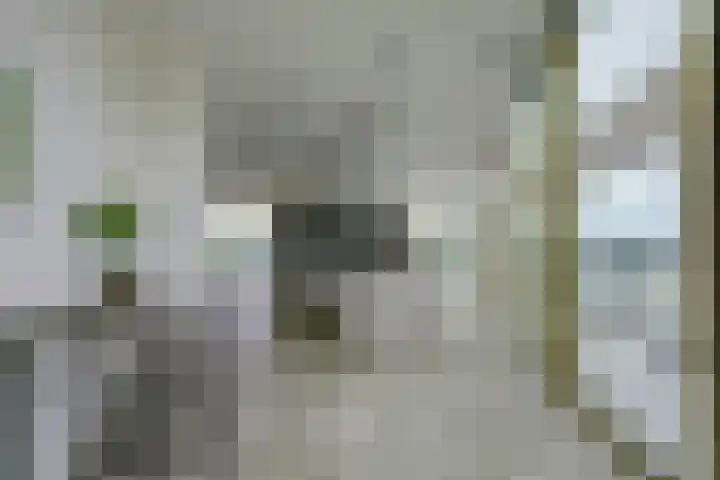 Waalbandijk 531 Nijmegen thumbnail 18
