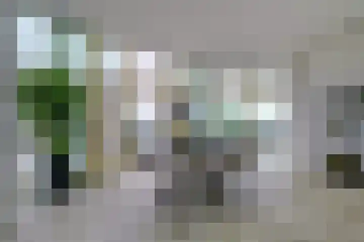 Waalbandijk 531 Nijmegen thumbnail 24