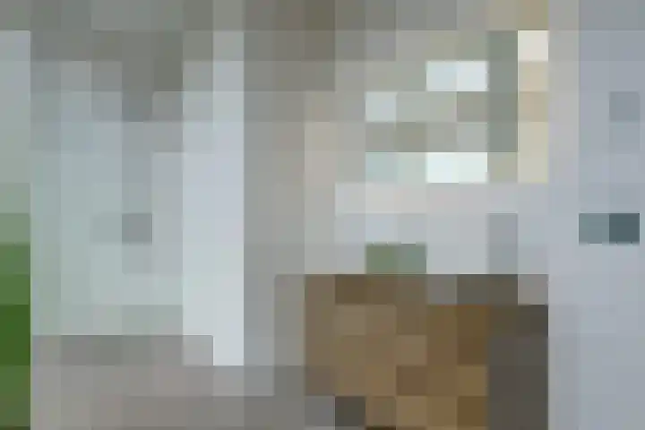 Waalbandijk 531 Nijmegen thumbnail 42