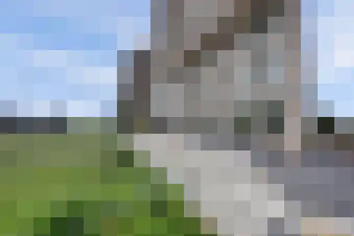 Waalbandijk 531 Nijmegen thumbnail 6