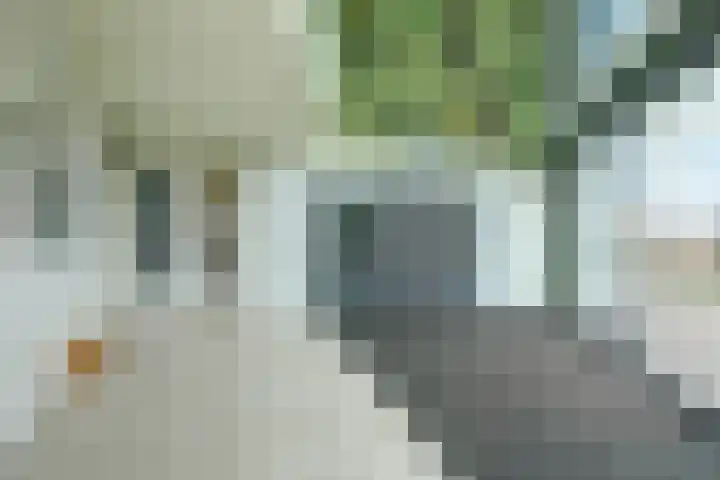 Waalbandijk 531 Nijmegen thumbnail 7