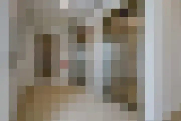 Waalbandijk 531 Nijmegen thumbnail 8
