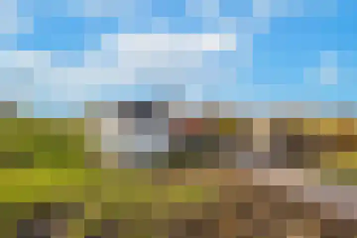 Waalbandijk 61 Ophemert thumbnail 10
