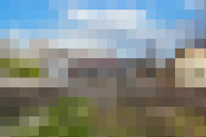 Waalbandijk 61 Ophemert thumbnail 11