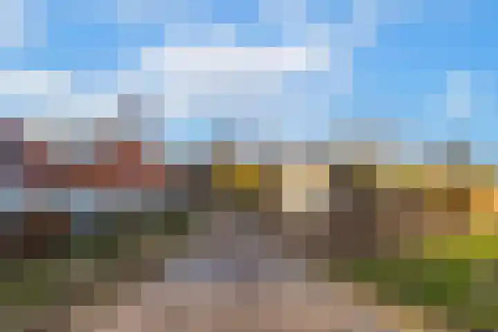 Waalbandijk 61 Ophemert thumbnail 12