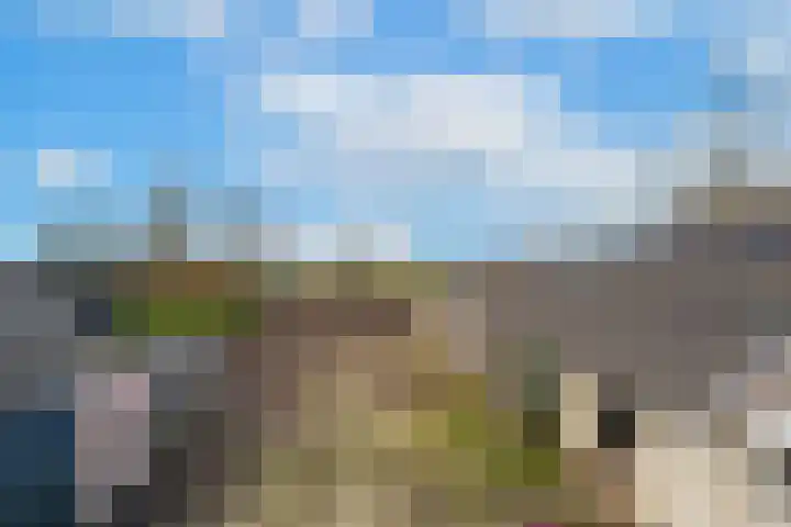 Waalbandijk 61 Ophemert thumbnail 14