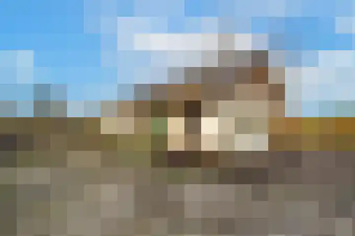 Waalbandijk 61 Ophemert thumbnail 15